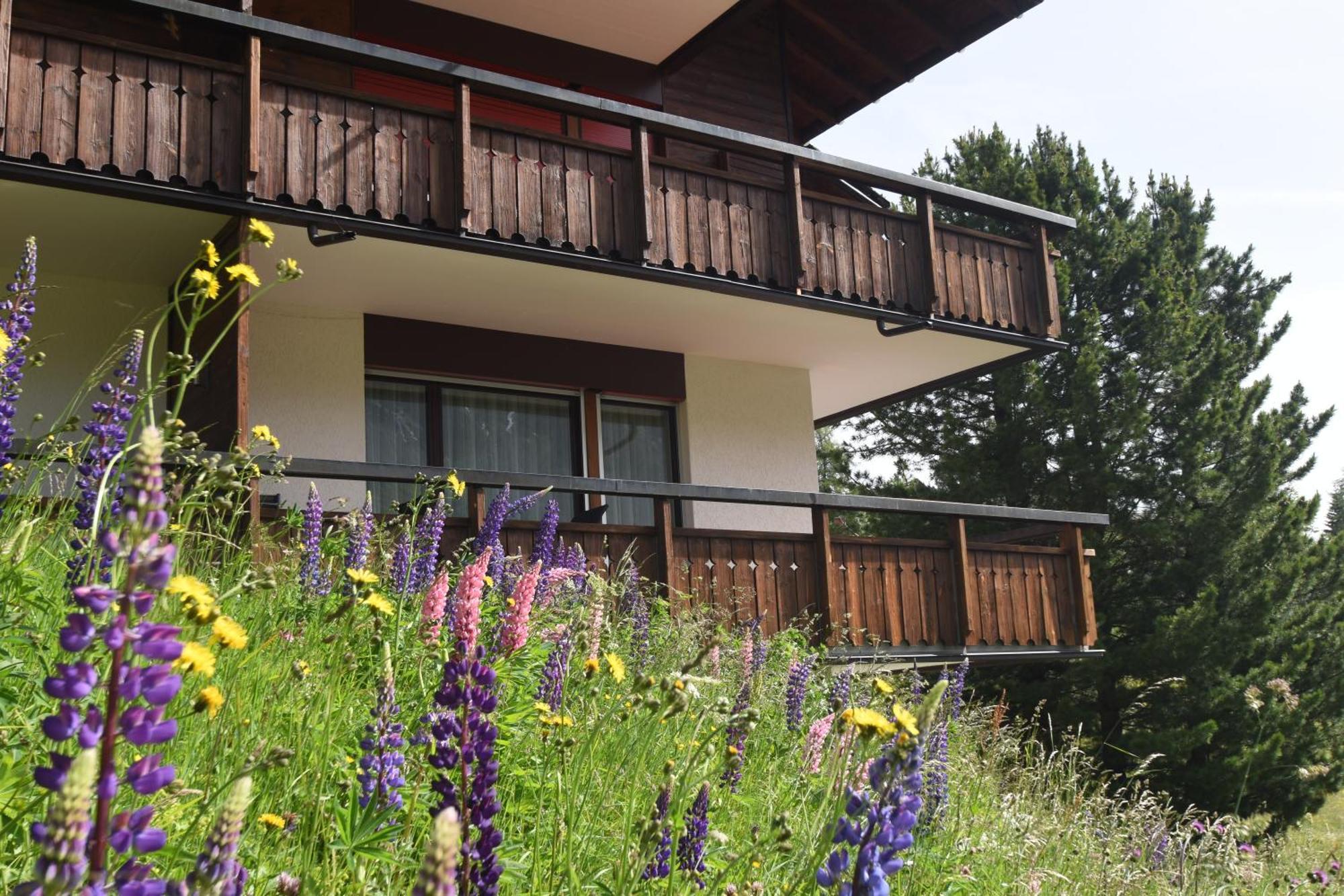 Chalet Christina 7 Ароза Екстер'єр фото